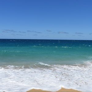 Meet your Posher, Suzanne